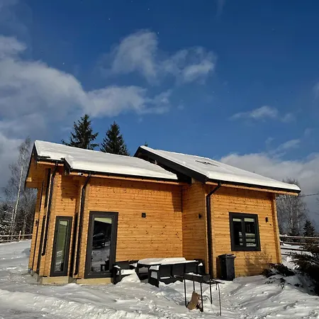 Vakantiehuis Grun Panorama Palyanytsya